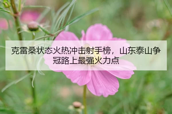 ke-lei-sang-zhuang-tai-huo-re-chong-ji-she-shou-bang-shan-dong-tai-shan-zheng-guan-lu-shang-zui-qiang-huo-li-dian-2-503.jpg