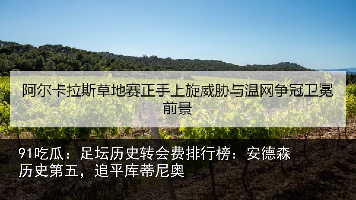 91吃瓜：足坛相关情况：安德相关情况蒂尼奥