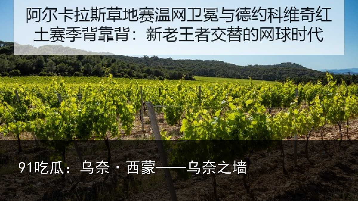 91吃瓜:乌奈·西蒙——乌奈之墙
