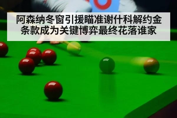 阿森纳冬窗引援瞄准谢什科解约金条款成为关键博弈最终花落谁家